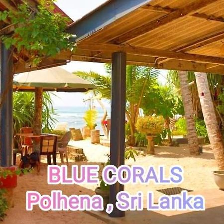Blue Corals Beach Bungalow Matara Ngoại thất bức ảnh