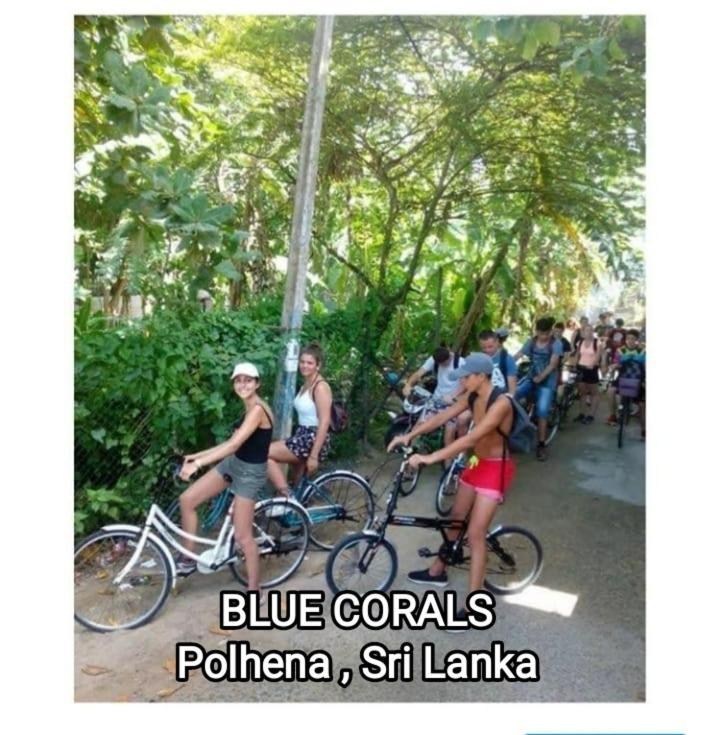 Blue Corals Beach Bungalow Matara Ngoại thất bức ảnh