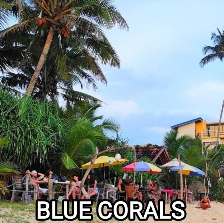Blue Corals Beach Bungalow Matara Ngoại thất bức ảnh