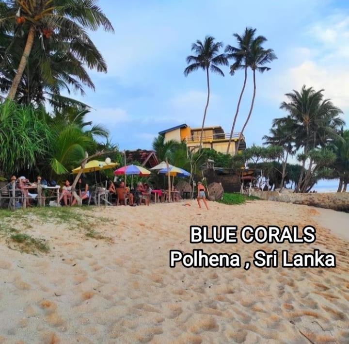 Blue Corals Beach Bungalow Matara Ngoại thất bức ảnh