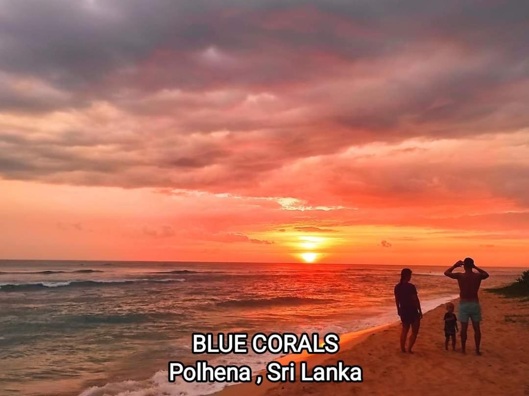 Blue Corals Beach Bungalow Matara Ngoại thất bức ảnh