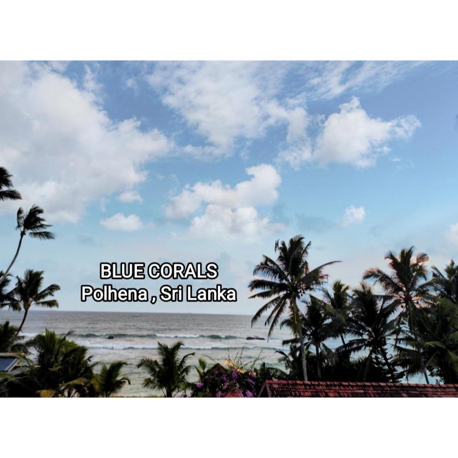 Blue Corals Beach Bungalow Matara Ngoại thất bức ảnh