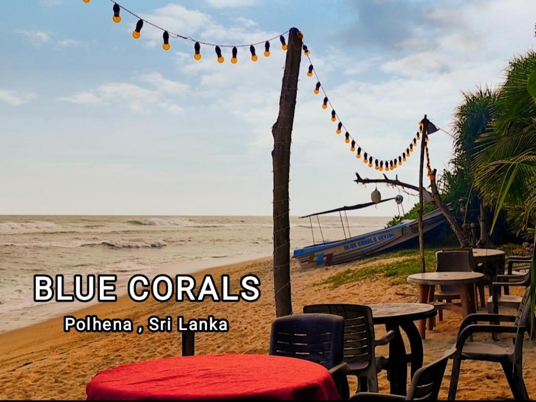 Blue Corals Beach Bungalow Matara Ngoại thất bức ảnh