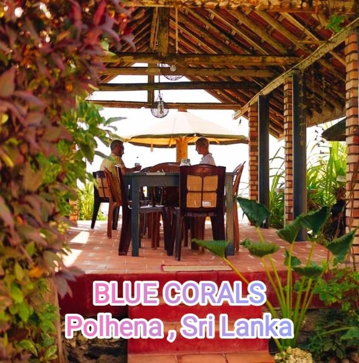 Blue Corals Beach Bungalow Matara Ngoại thất bức ảnh