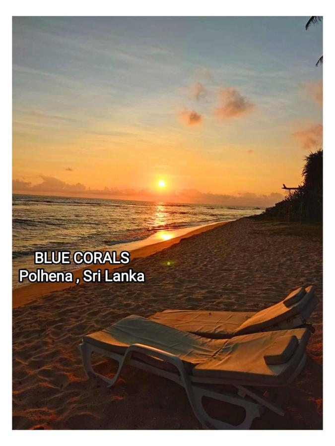 Blue Corals Beach Bungalow Matara Ngoại thất bức ảnh