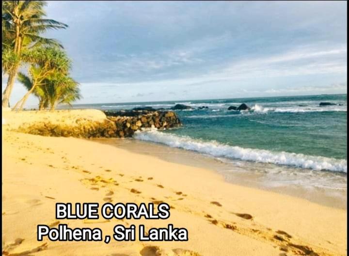 Blue Corals Beach Bungalow Matara Ngoại thất bức ảnh