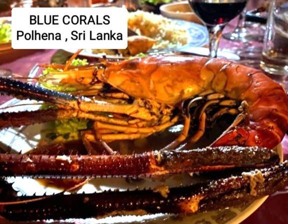 Blue Corals Beach Bungalow Matara Ngoại thất bức ảnh