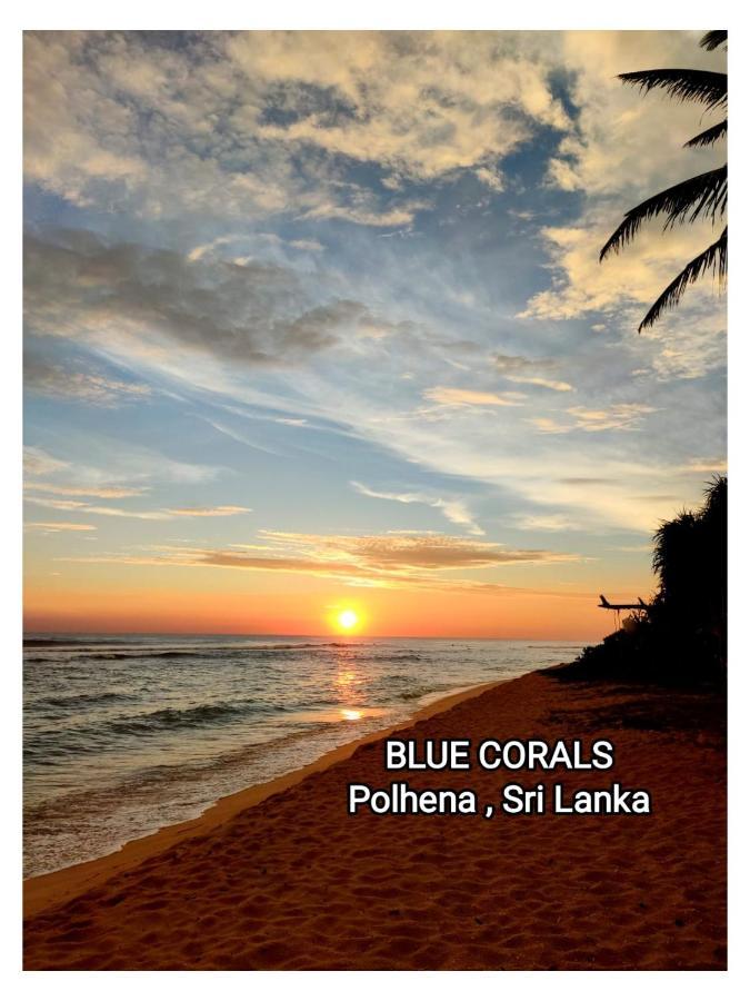Blue Corals Beach Bungalow Matara Ngoại thất bức ảnh