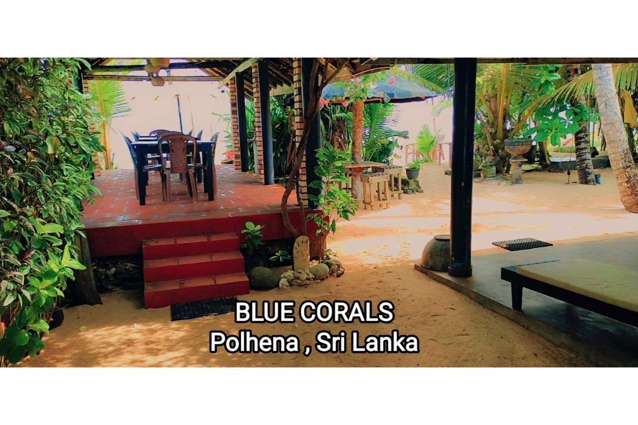 Blue Corals Beach Bungalow Matara Ngoại thất bức ảnh