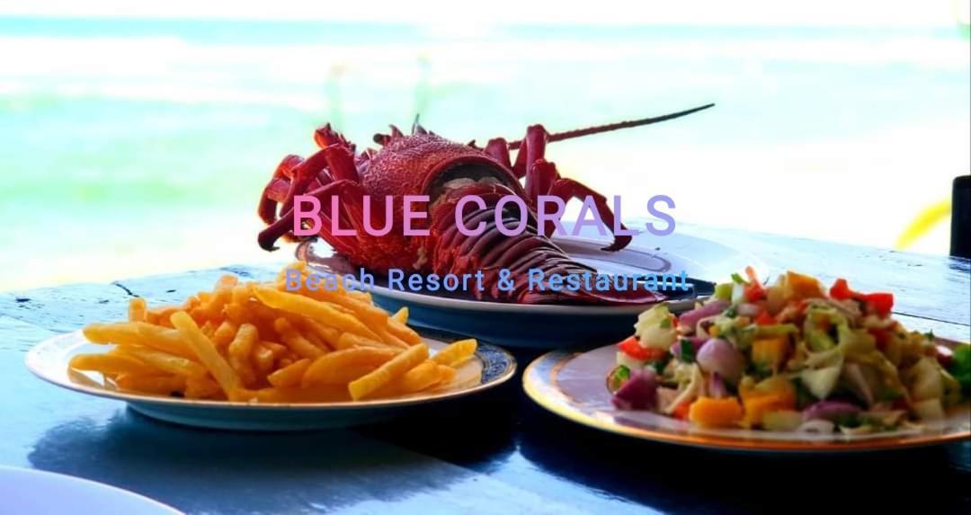 Blue Corals Beach Bungalow Matara Ngoại thất bức ảnh