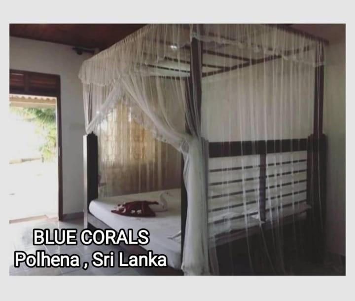 Blue Corals Beach Bungalow Matara Ngoại thất bức ảnh