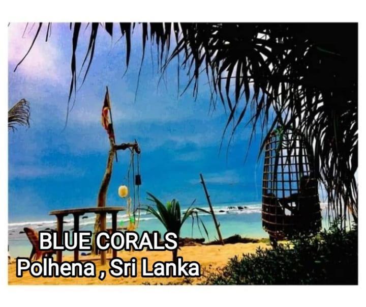 Blue Corals Beach Bungalow Matara Ngoại thất bức ảnh