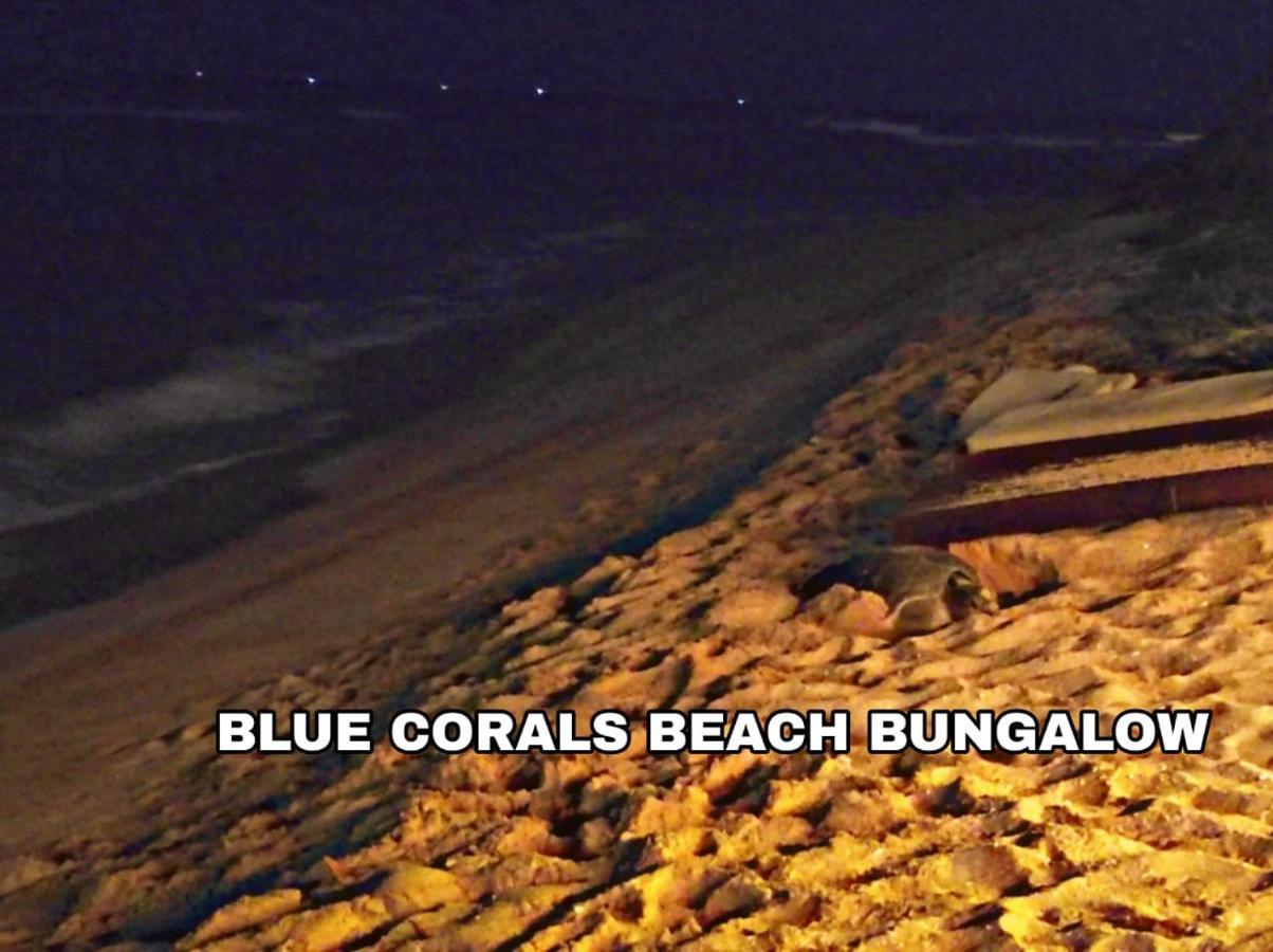Blue Corals Beach Bungalow Matara Ngoại thất bức ảnh