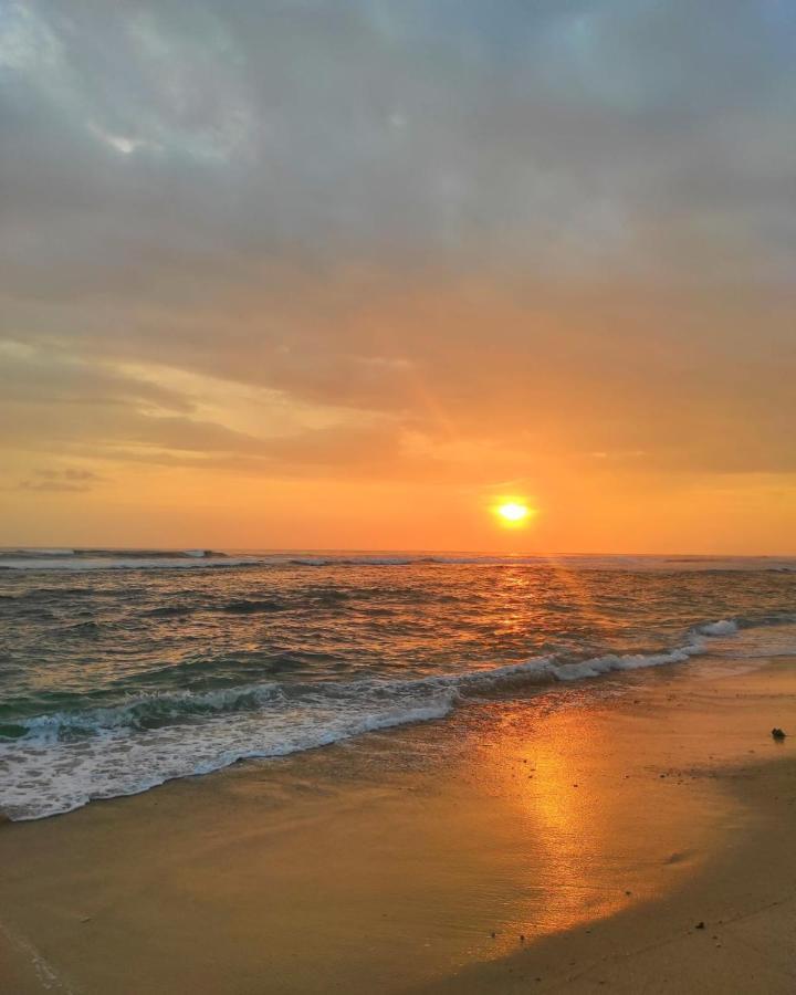 Blue Corals Beach Bungalow Matara Ngoại thất bức ảnh
